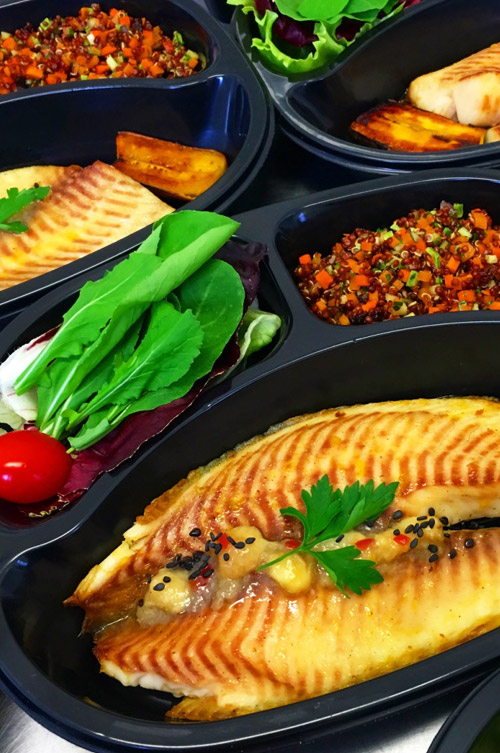 Fresh Meal - Plano Performance